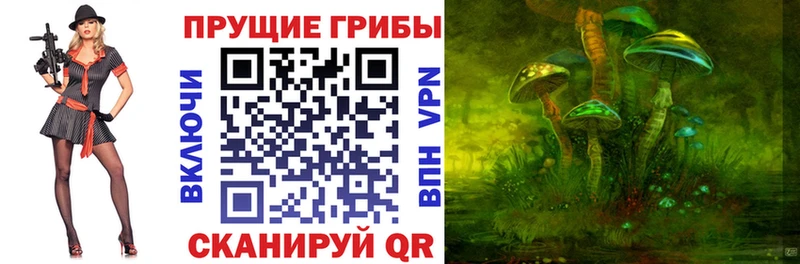 Галлюциногенные грибы мицелий Динская